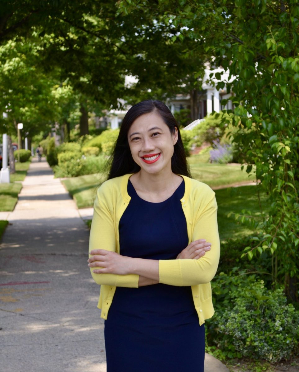 Sandra Ung, Former AABANY Treasurer, Runs for City Council on Platform ...